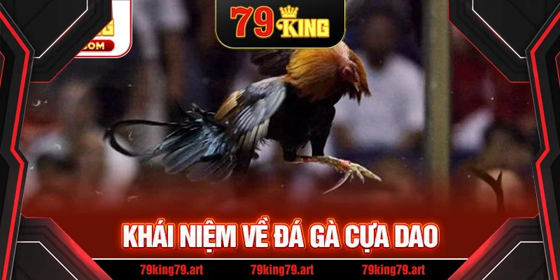 Đá gà cựa dao là gì
