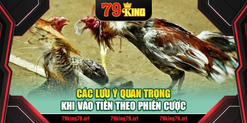 Các lưu ý quan trọng khi vào tiền theo phiên cược