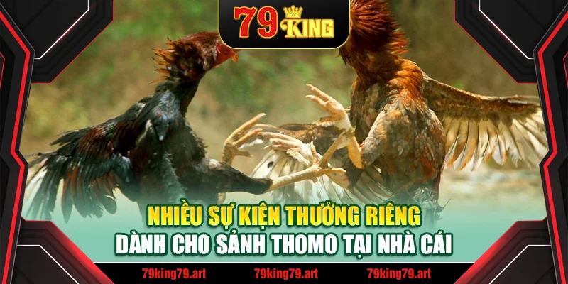 Nhiều sự kiện thưởng riêng dành cho sảnh Thomo tại nhà cái